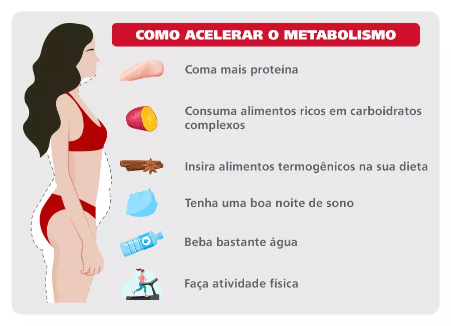 Prato com alimentos saudáveis que ajudam a acelerar o metabolismo.
Como Acelerar a Queima de Gordura Mesmo em Repouso